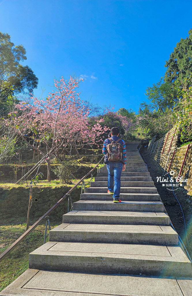 台大實驗林鳳凰自然教育園區 鳳凰谷鳥園04 台大實驗林鳳凰自然教育園區 鳳凰谷鳥園04