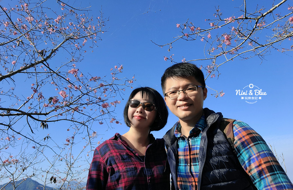 台大實驗林鳳凰自然教育園區 鳳凰谷鳥園10 台大實驗林鳳凰自然教育園區 鳳凰谷鳥園10