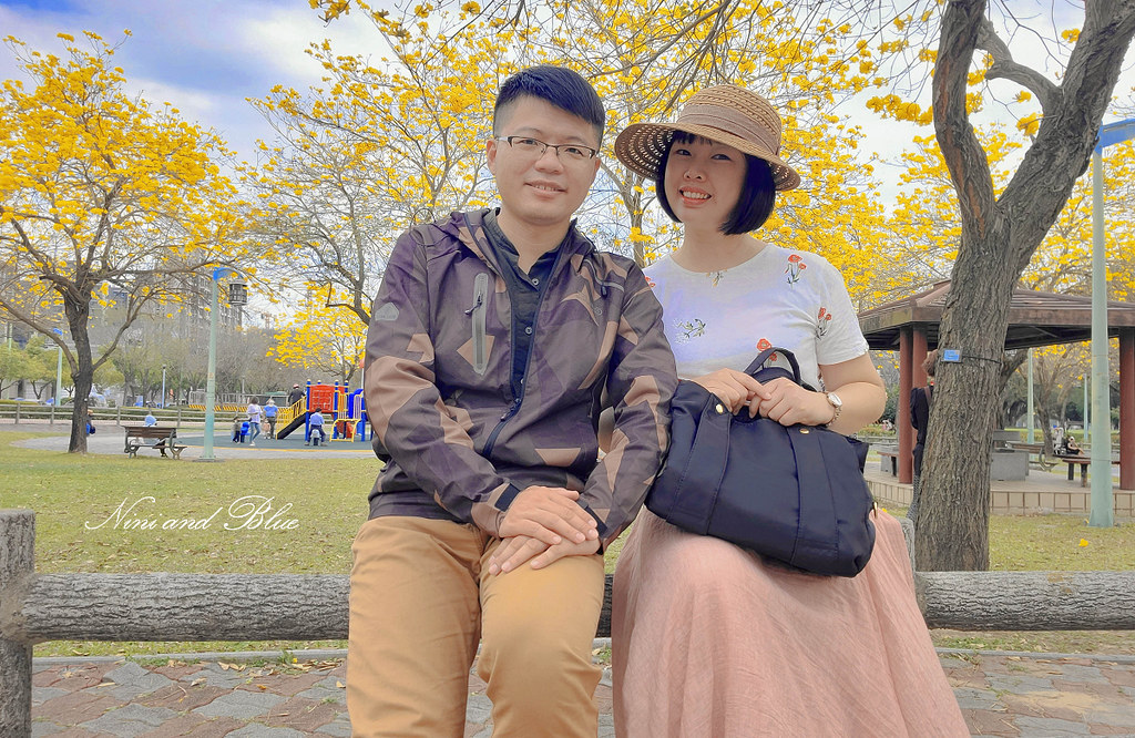 台中黃金風鈴木 最新花況 部子公園03