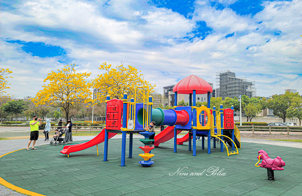 台中黃金風鈴木 最新花況 部子公園05