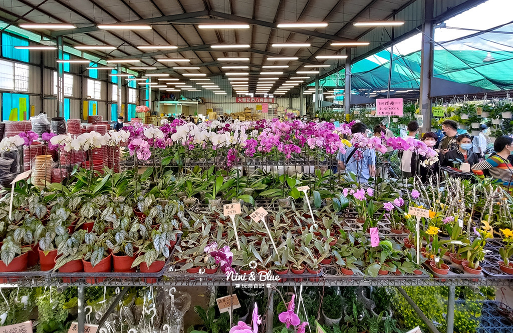 八角農園 台中花市12