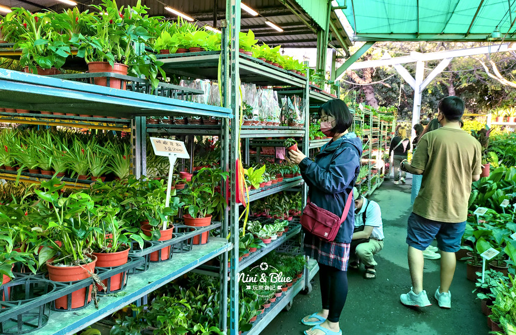 八角農園 台中花市34