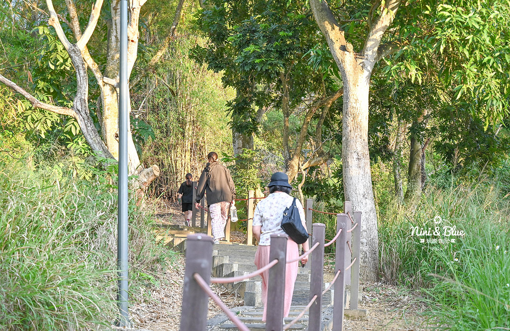 霧峰步道 望月峰獻堂登山步道 阿罩霧公園24