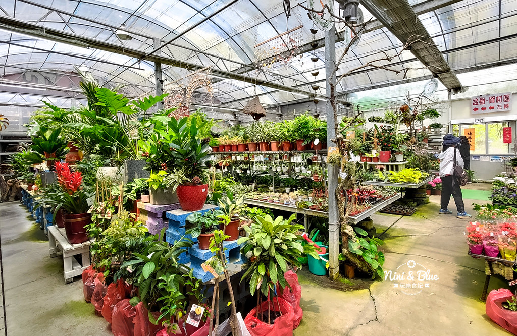 芊香園藝 大坑花市08 芊香園藝 大坑花市08