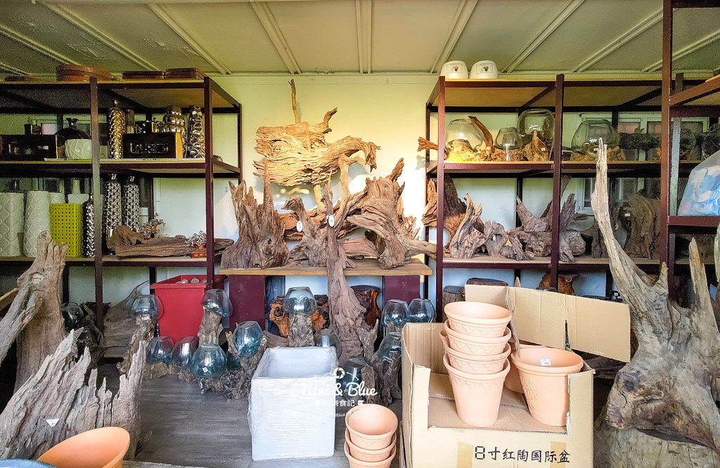 芊香園藝 大坑花市25 芊香園藝 大坑花市25