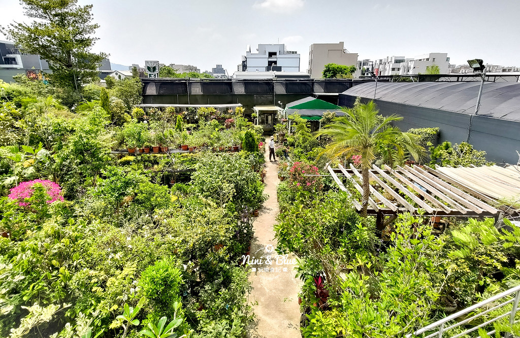 芊香園藝 大坑花市21 芊香園藝 大坑花市21