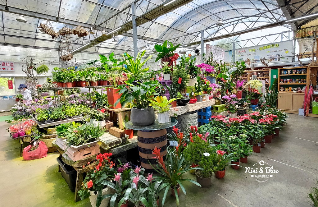 芊香園藝 大坑花市07 芊香園藝 大坑花市07