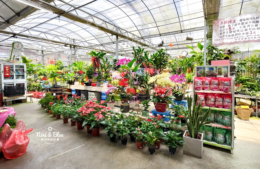 芊香園藝 大坑花市36 芊香園藝 大坑花市36