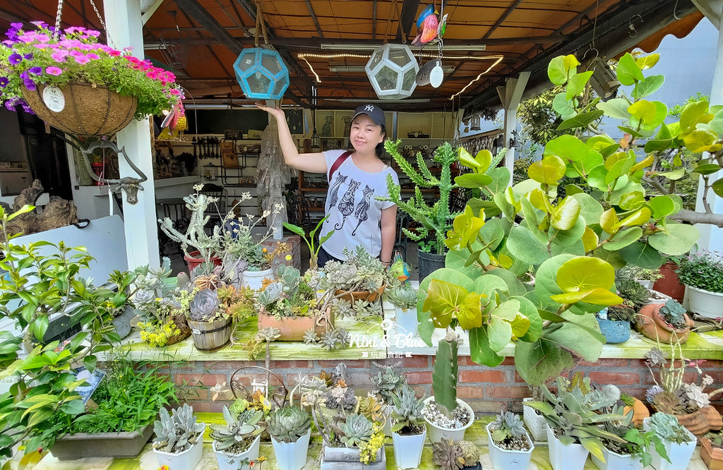 芊香園藝 大坑花市18
