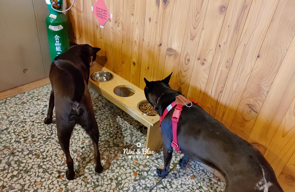 犬侍拉麵 埔里美食18