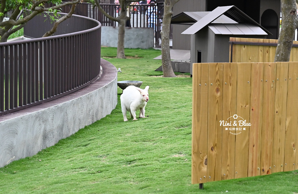 九九峰動物樂園 南投草屯景點29