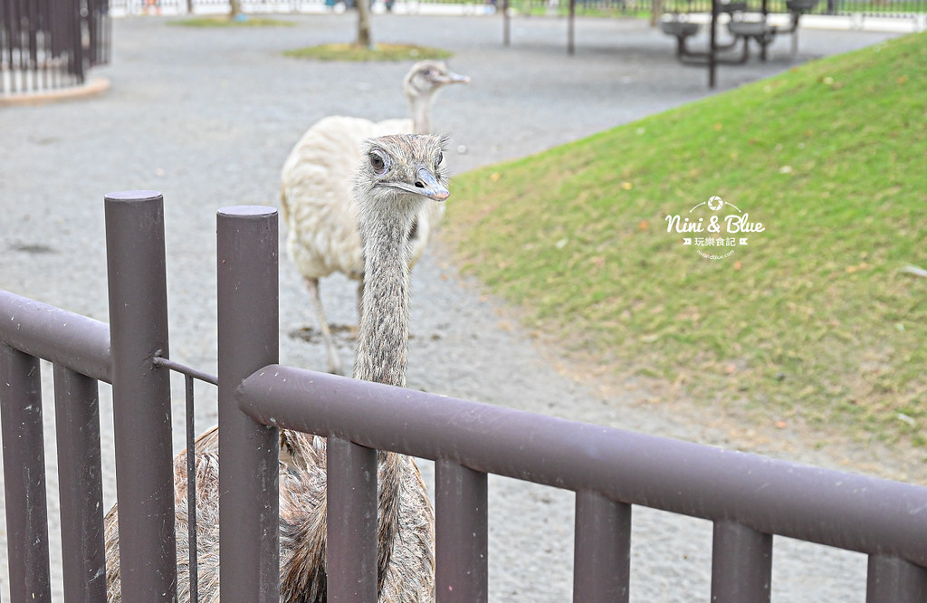 九九峰動物樂園 南投草屯景點05 九九峰動物樂園 南投草屯景點05