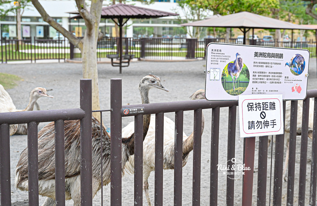 九九峰動物樂園 南投草屯景點06 九九峰動物樂園 南投草屯景點06