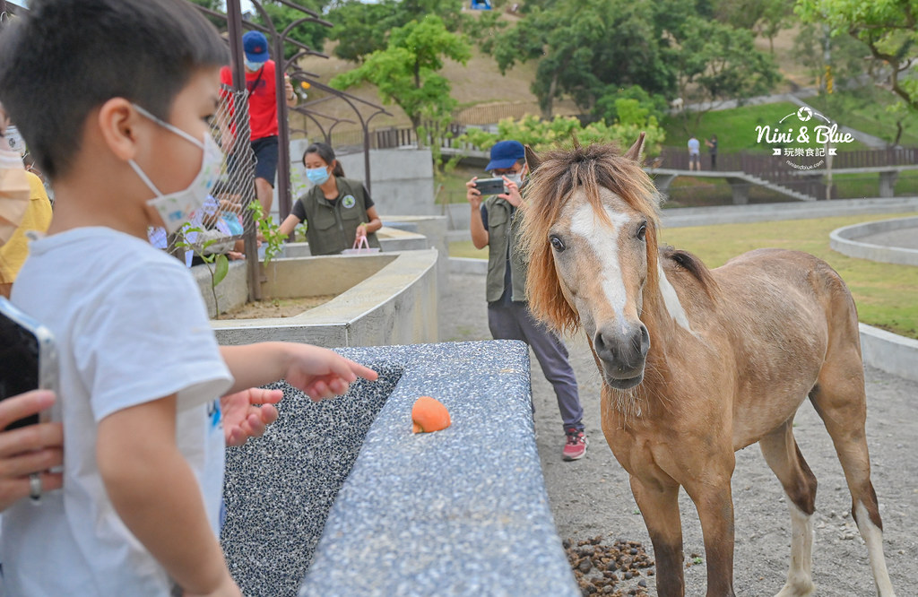 九九峰動物樂園 南投草屯景點36