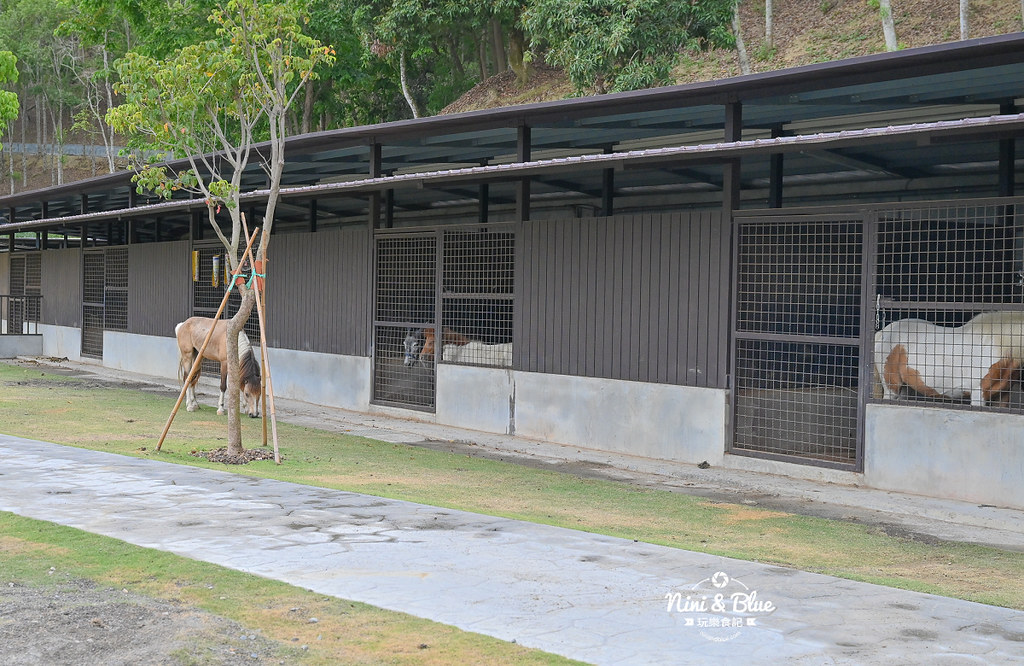 九九峰動物樂園 南投草屯景點31
