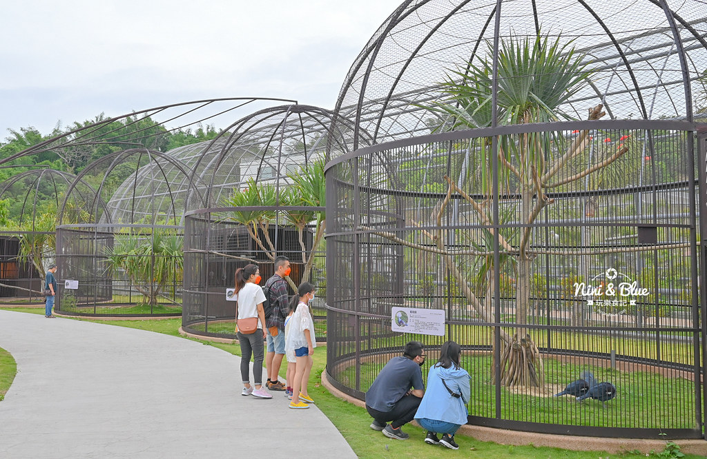 九九峰動物樂園 南投草屯景點17 九九峰動物樂園 南投草屯景點17