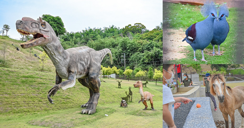 九九峰動物樂園 南投草屯景點01 九九峰動物樂園 南投草屯景點01