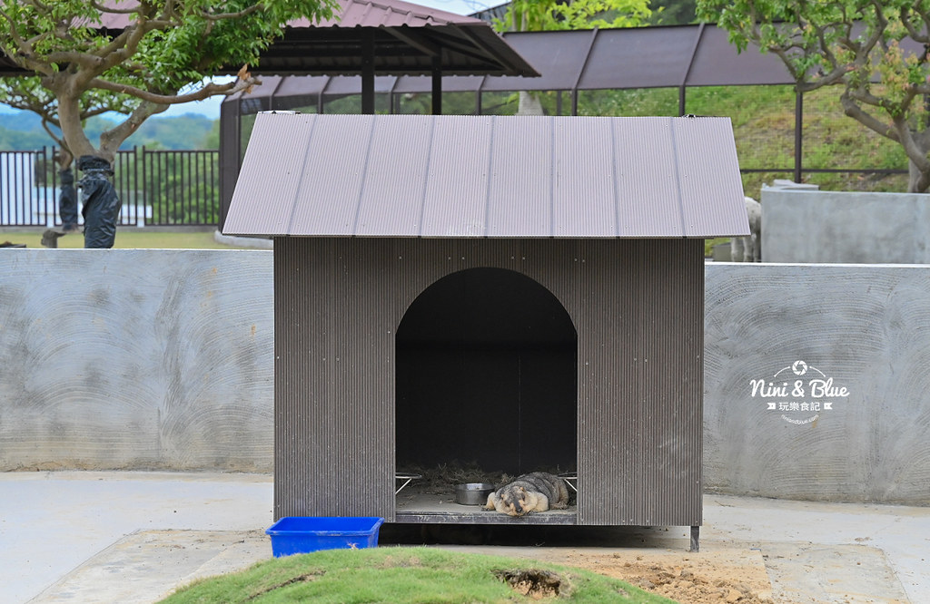 九九峰動物樂園 南投草屯景點33