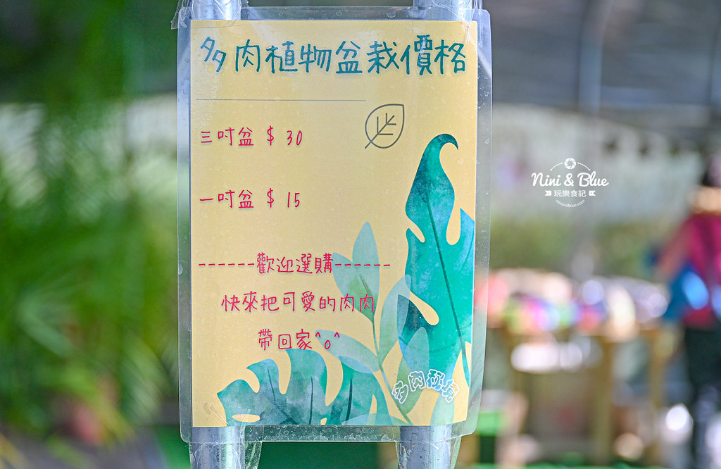 南投埔里景點 多肉秘境 多肉組盆 泡泡屋22