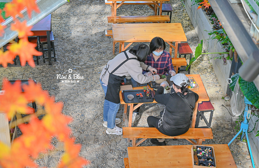 南投埔里景點 多肉秘境 多肉組盆 泡泡屋29 南投埔里景點 多肉秘境 多肉組盆 泡泡屋29