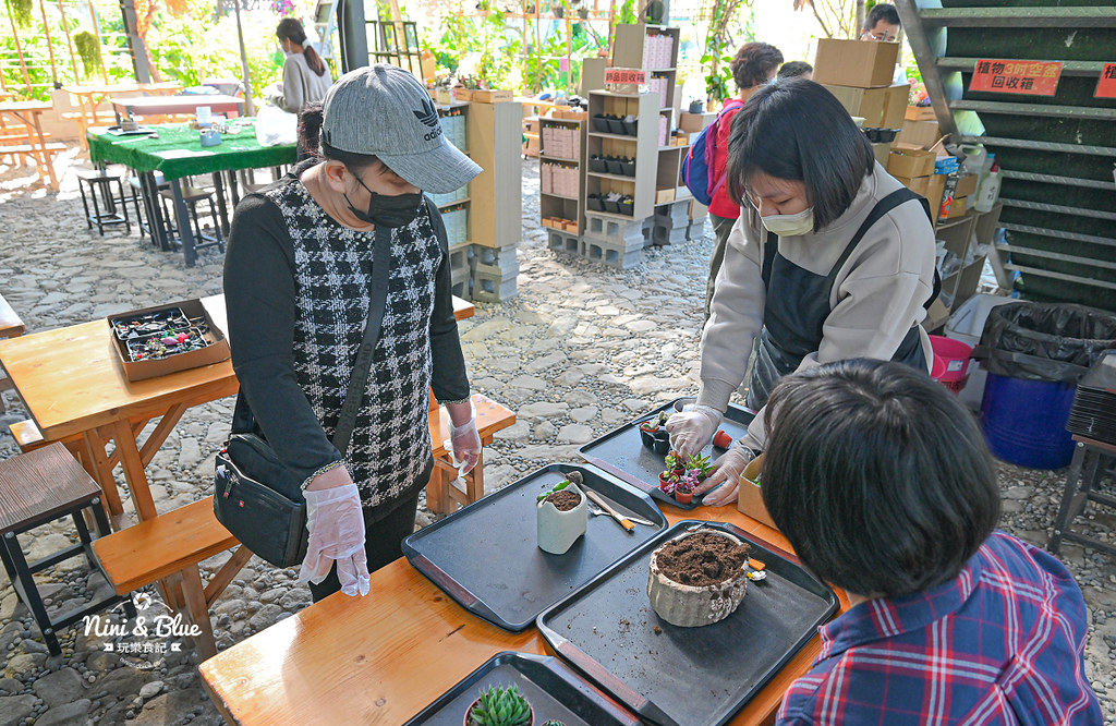 南投埔里景點 多肉秘境 多肉組盆 泡泡屋28 南投埔里景點 多肉秘境 多肉組盆 泡泡屋28