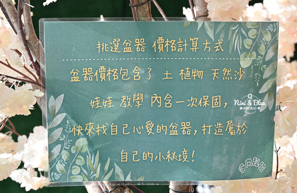 南投埔里景點 多肉秘境 多肉組盆 泡泡屋13 南投埔里景點 多肉秘境 多肉組盆 泡泡屋13