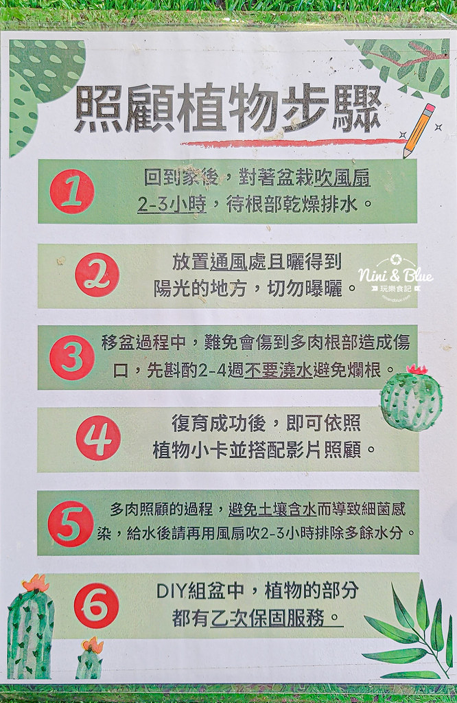 南投埔里景點 多肉秘境 多肉組盆 泡泡屋03 南投埔里景點 多肉秘境 多肉組盆 泡泡屋03