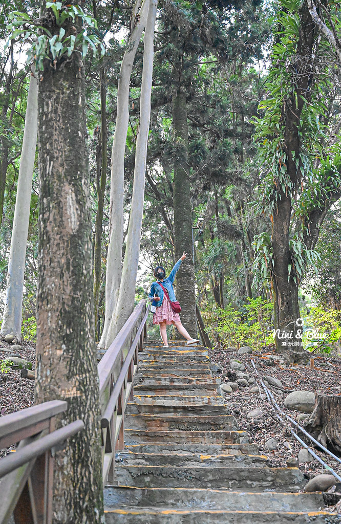南投竹山景點 下坪熱帶植物園 台大實驗林19 南投竹山景點 下坪熱帶植物園 台大實驗林19