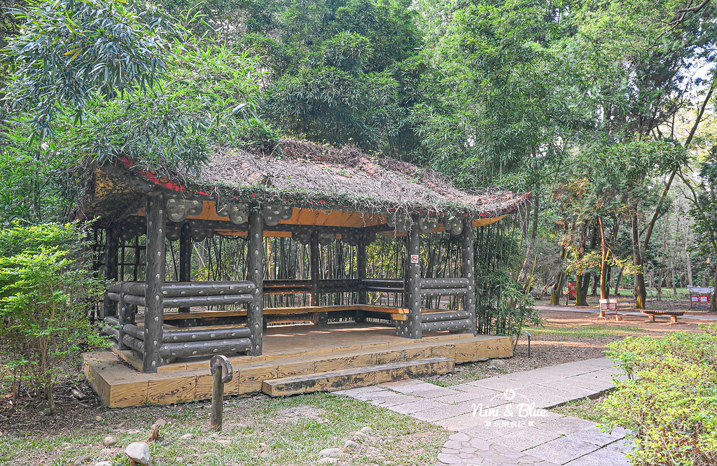 南投竹山景點 下坪熱帶植物園 台大實驗林21 南投竹山景點 下坪熱帶植物園 台大實驗林21