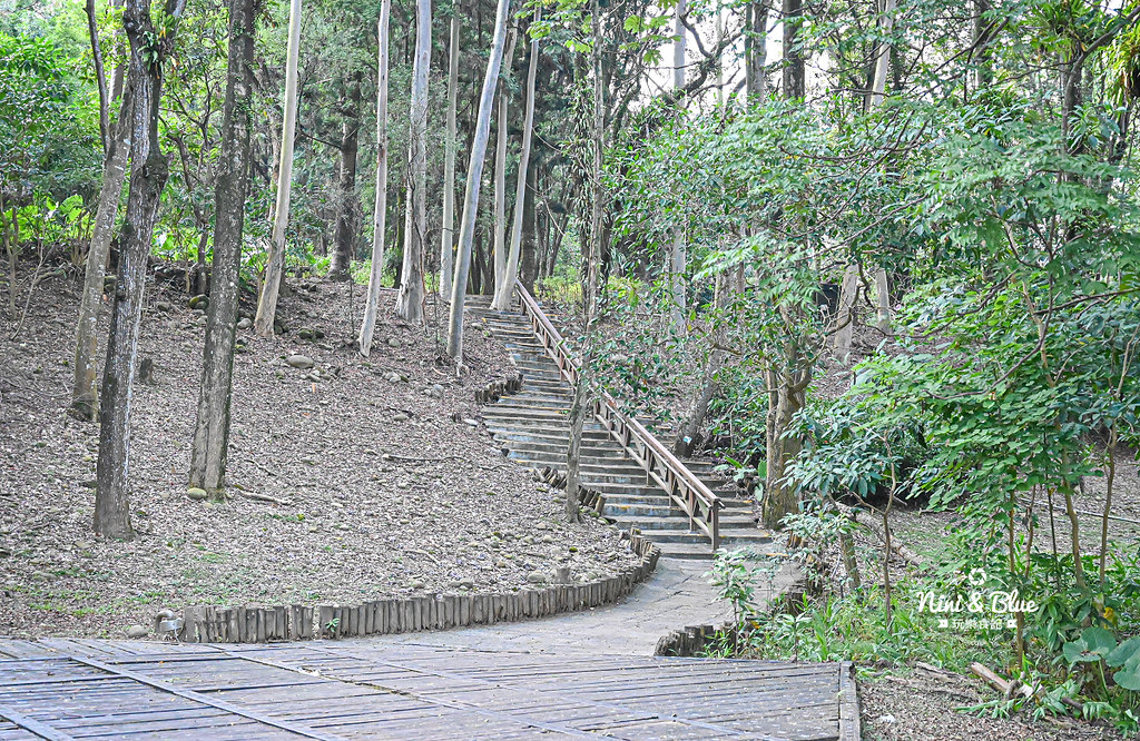 南投竹山景點 下坪熱帶植物園 台大實驗林18 南投竹山景點 下坪熱帶植物園 台大實驗林18