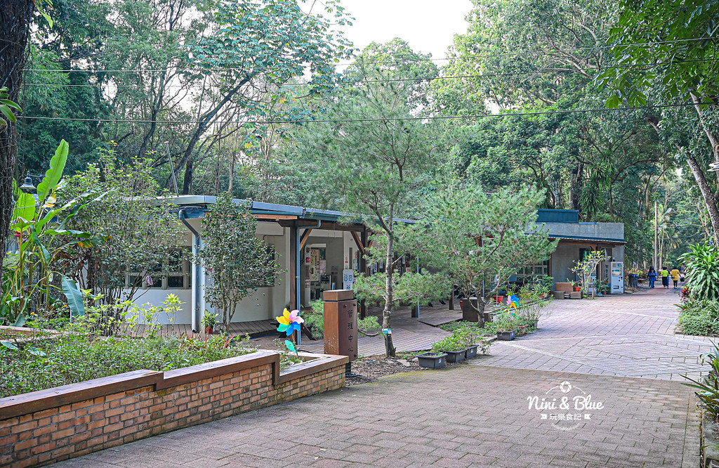 南投竹山景點 下坪熱帶植物園 台大實驗林10 南投竹山景點 下坪熱帶植物園 台大實驗林10