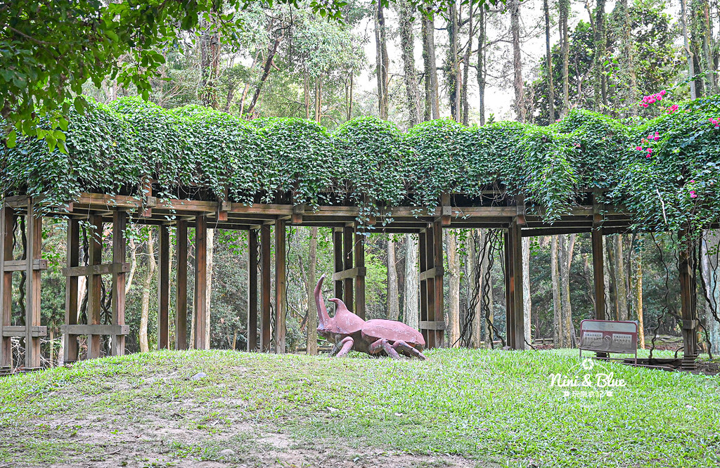 南投竹山景點 下坪熱帶植物園 台大實驗林23 南投竹山景點 下坪熱帶植物園 台大實驗林23