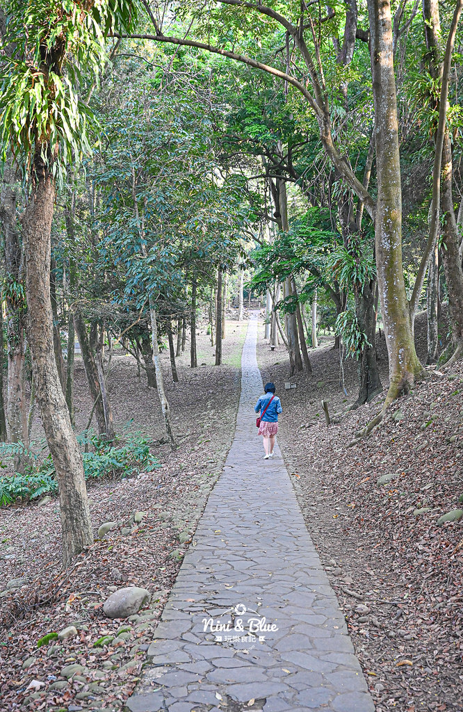 南投竹山景點 下坪熱帶植物園 台大實驗林22 南投竹山景點 下坪熱帶植物園 台大實驗林22