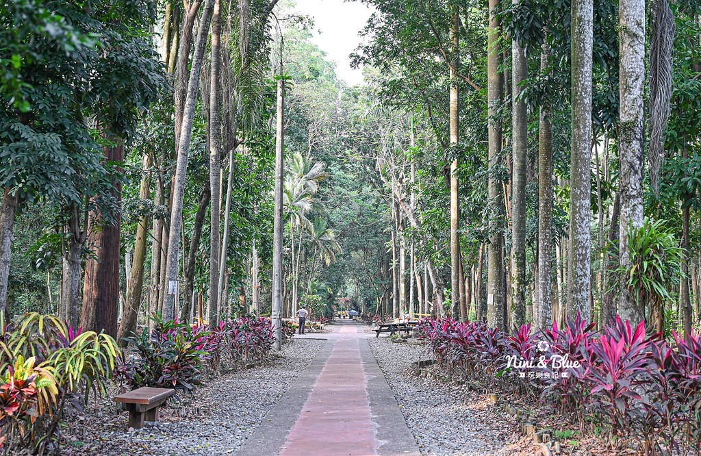 南投竹山景點 下坪熱帶植物園 台大實驗林13 南投竹山景點 下坪熱帶植物園 台大實驗林13