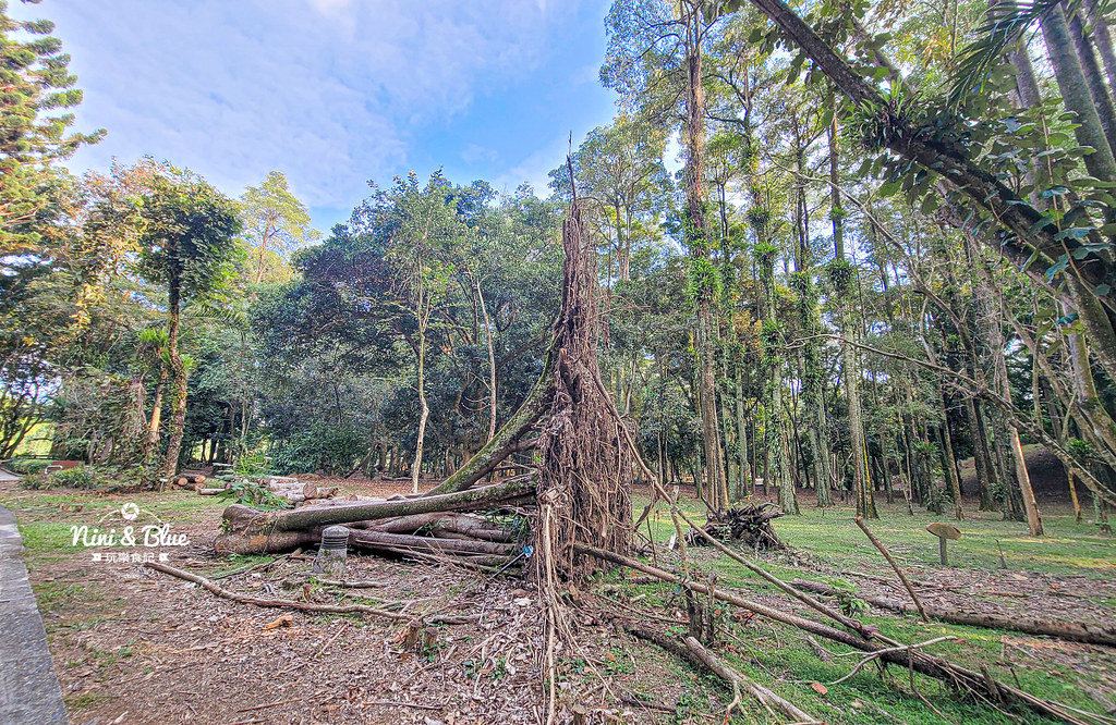 南投竹山景點 下坪熱帶植物園 台大實驗林06 南投竹山景點 下坪熱帶植物園 台大實驗林06