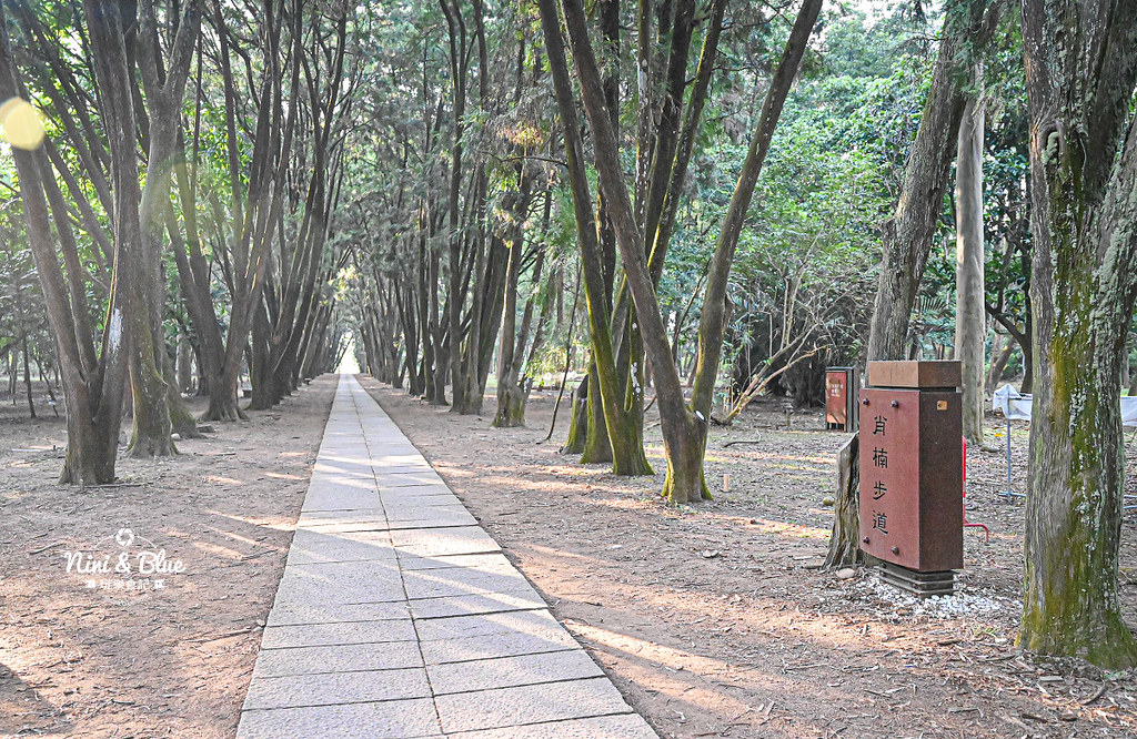 南投竹山景點 下坪熱帶植物園 台大實驗林20 南投竹山景點 下坪熱帶植物園 台大實驗林20