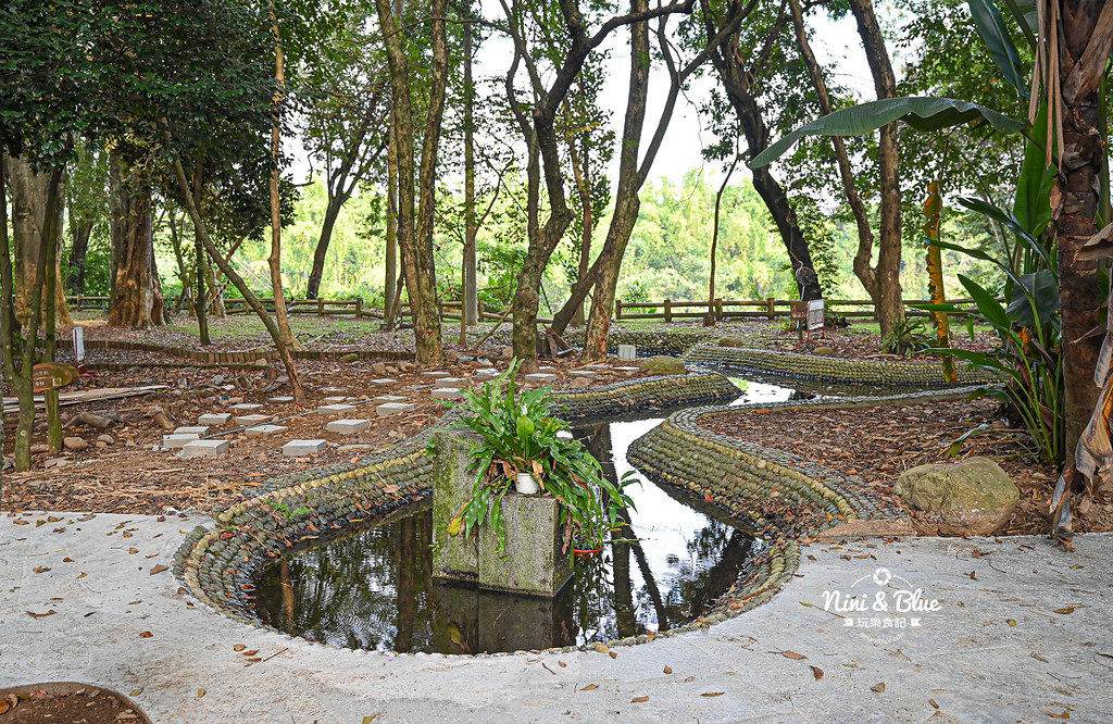 南投竹山景點 下坪熱帶植物園 台大實驗林15 南投竹山景點 下坪熱帶植物園 台大實驗林15
