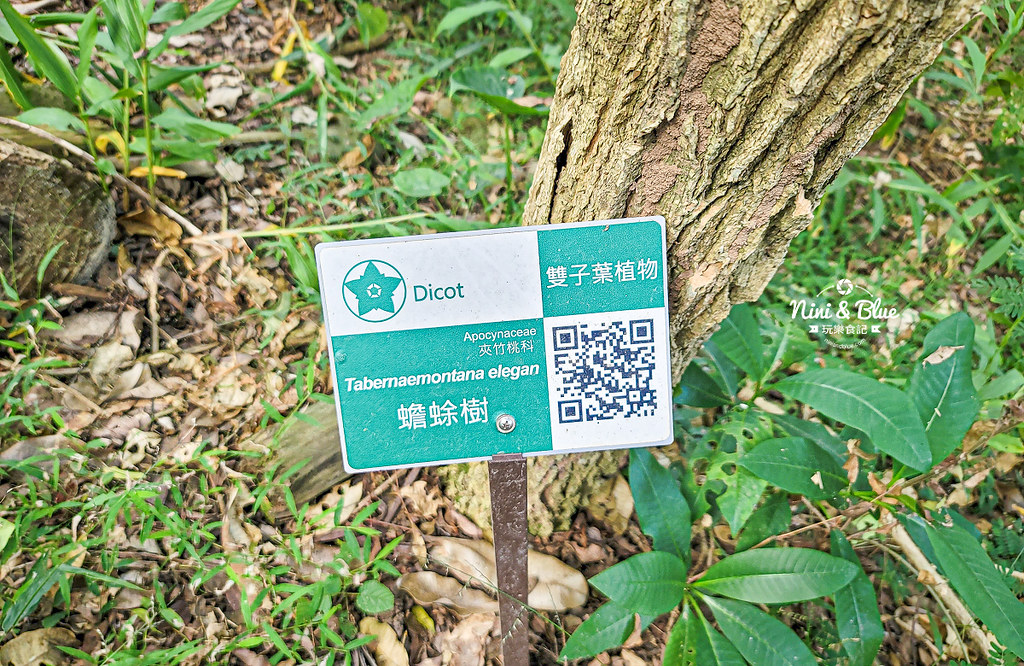 南投竹山景點 下坪熱帶植物園 台大實驗林07 南投竹山景點 下坪熱帶植物園 台大實驗林07