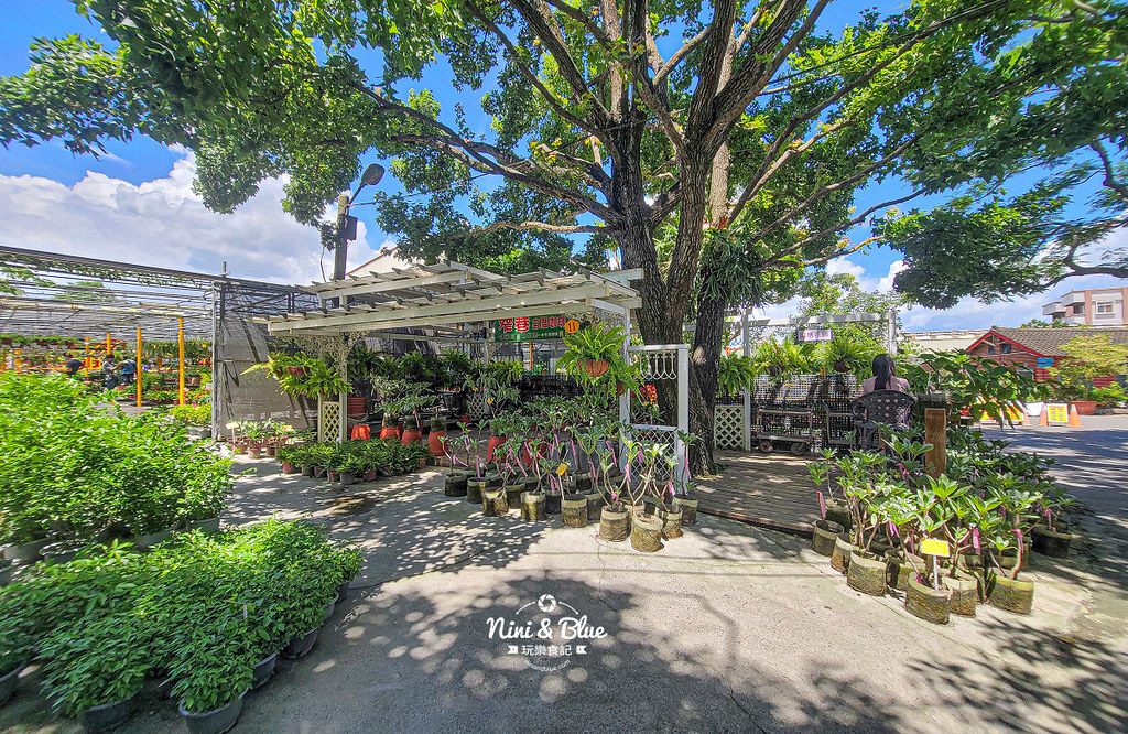 田尾 鳳凰花園 停車 窄巷古厝咖啡06