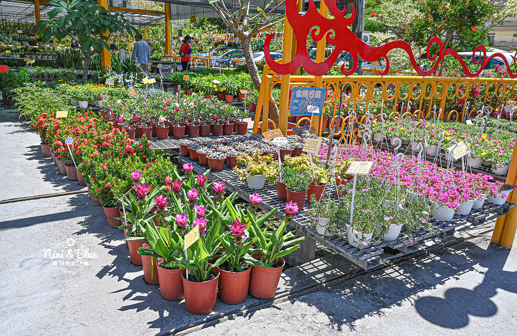 田尾 鳳凰花園 停車 窄巷古厝咖啡14