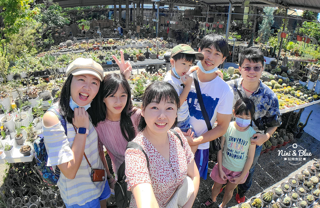 田尾仙人掌 綦林園 美之園多肉06