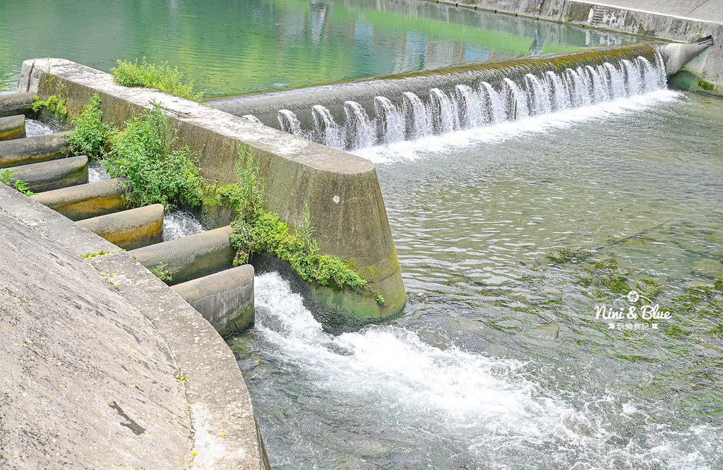 台中免費釣魚公園  康橋公眾釣魚池14