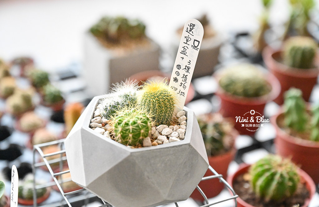 TZUMii厝覓 DIY家具 樹德半山夢工廠 生命樹票價66 TZUMii厝覓 DIY家具 樹德半山夢工廠 生命樹票價66