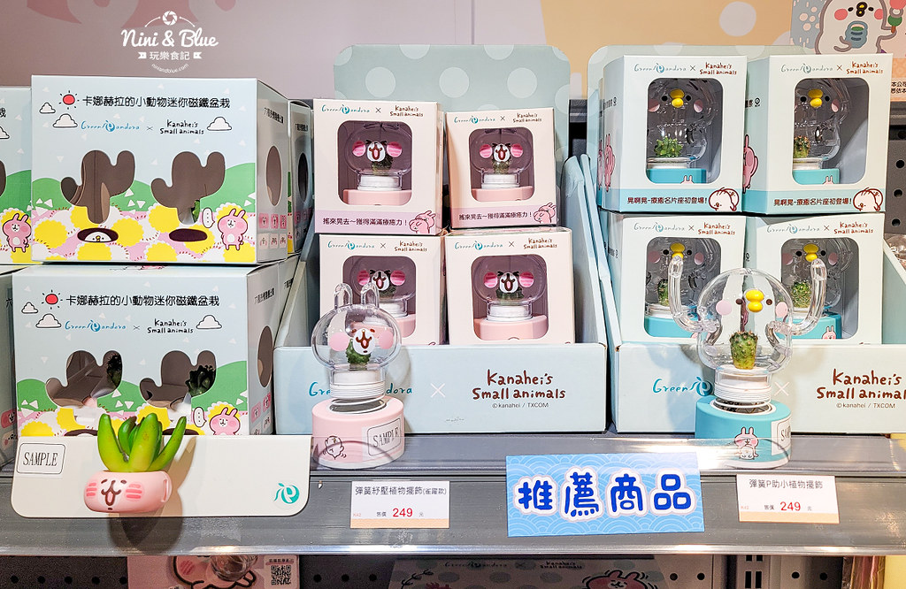 卡娜赫拉 台中快閃06