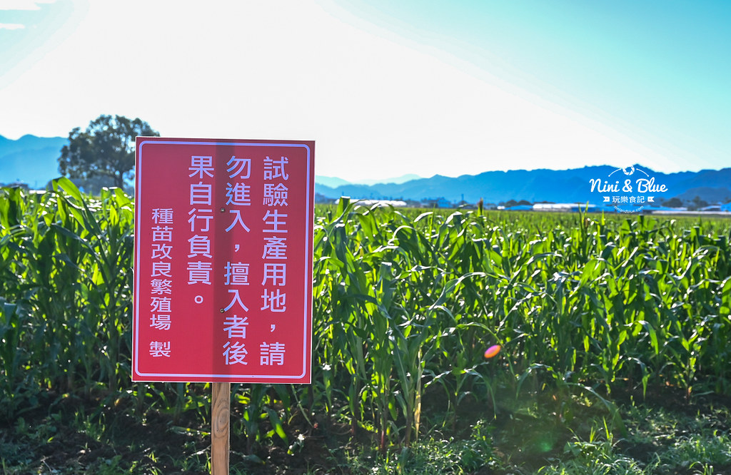 2022台中國際花毯節台中景點01