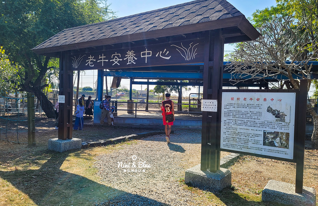 彰化 溪州公園 花在彰化接駁車 賞花18