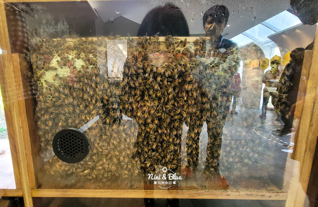 賴爺爺蜜蜂小森林.埔里景點17