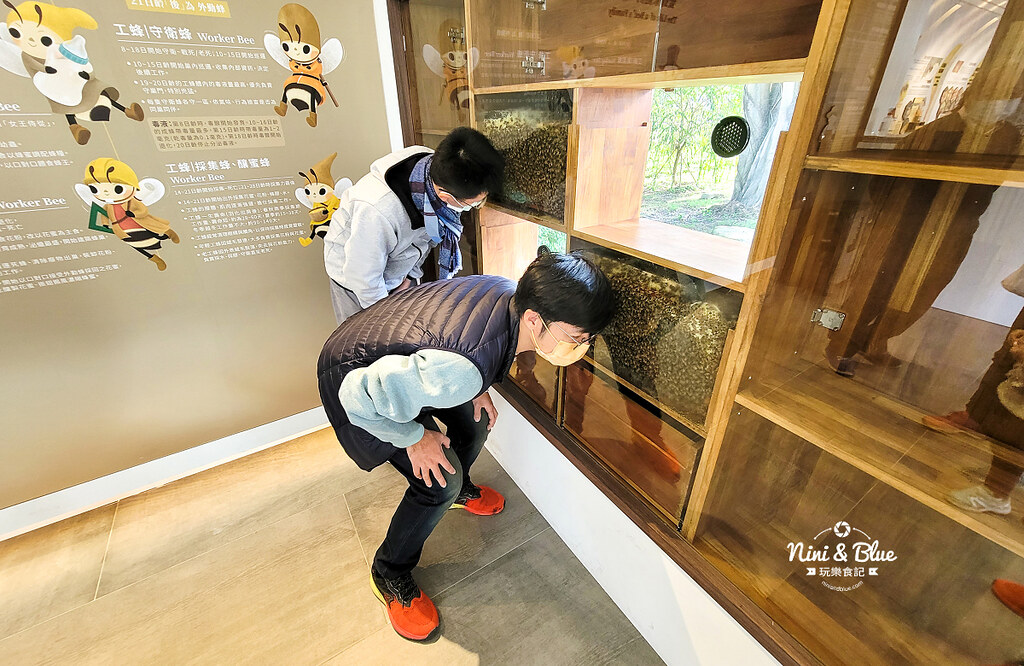 賴爺爺蜜蜂小森林.埔里景點16