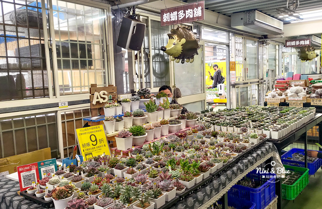 桃園多肉市集21