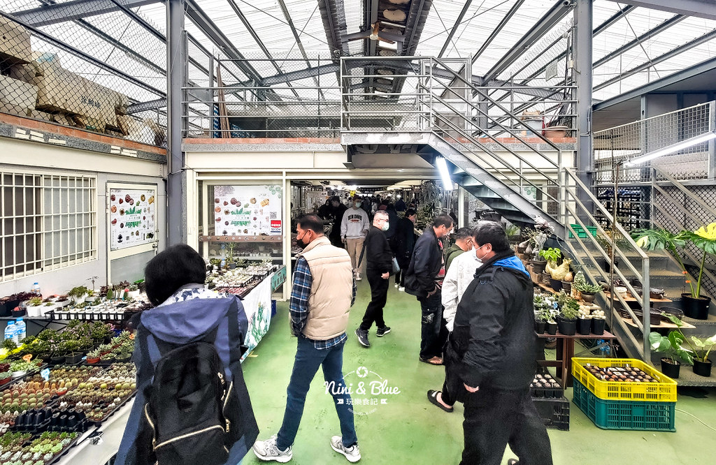 桃園多肉市集02